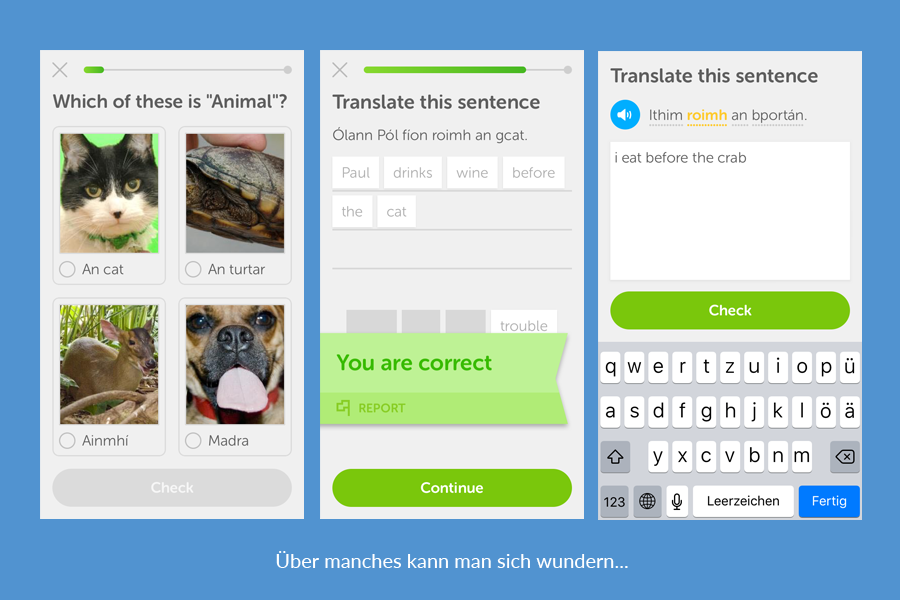 Duolingo Bewertung